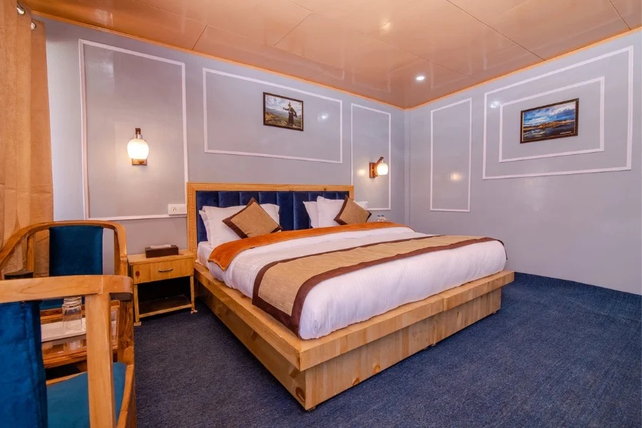 Pangong Vista Resort