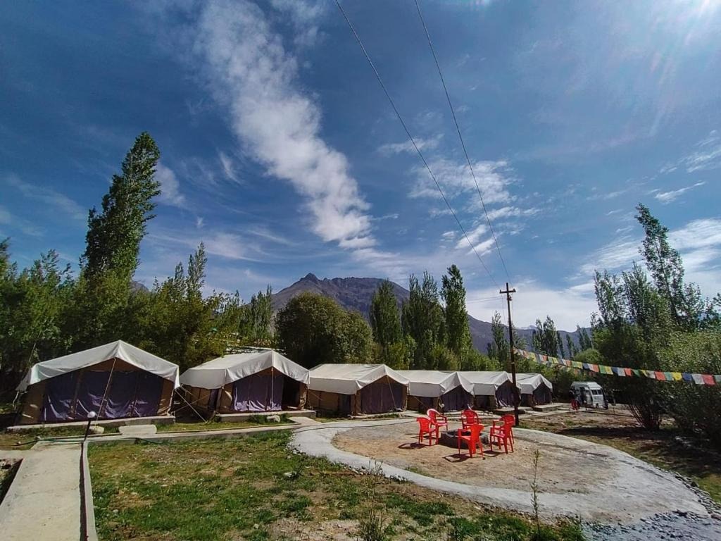 Nubra Delight Camp