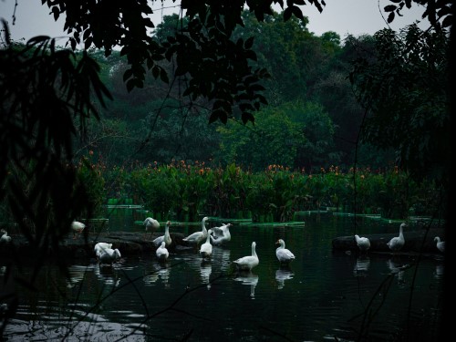 4 Days Odisha Tour (Puri, Bhubaneswar)