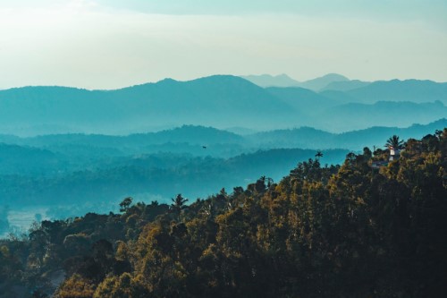 5 Days Karnataka Tour (Mysore, Coorg, Bangalore)