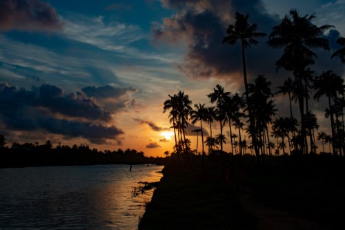 5 Day Kerala Tour (Munnar, Alleppey, Thekkady)