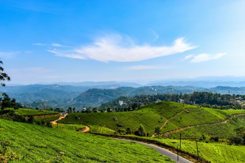 5 Days Kerala Tour (Munnar, Alleppey)