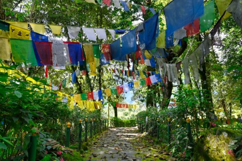 7 Days Sikkim Tour (Darjeeling, Kalimpong, Gangtok)