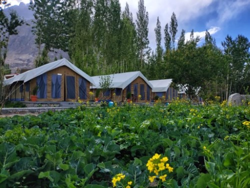 Nubra Organic Retreat